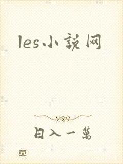 les小说网