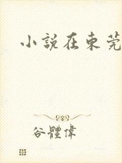 小说在东莞