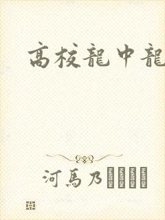 高校龙中龙下载