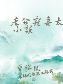 老公宠妻太甜蜜 小说