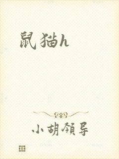 鼠猫h