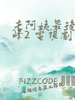 老阿姨最后的巅峰2 电视剧