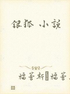 银狐 小说