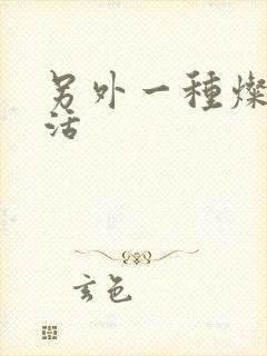 另外一种灿烂生活