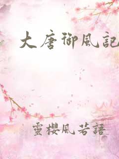 大唐御风记