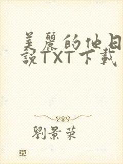 美丽的他日剧小说TXT下载