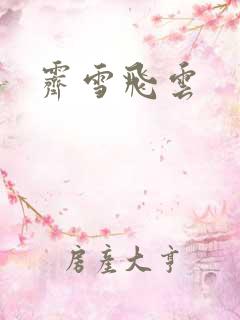 霁雪飞云