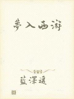 梦入西游