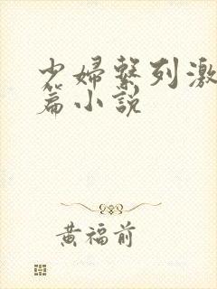 少妇系列激情短篇小说