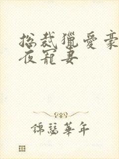 总裁猎爱豪门一夜宠妻