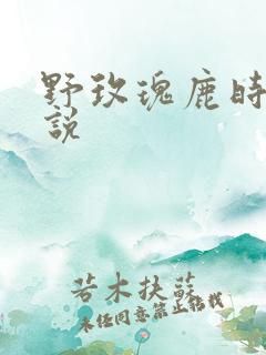 野玫瑰鹿时安小说