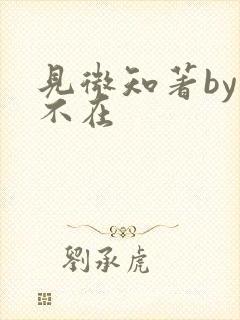 见微知著by音不在