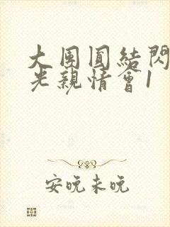 大团圆结闪闪发光亲情会1