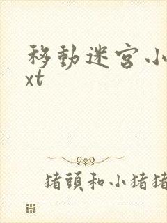 移动迷宫小说txt