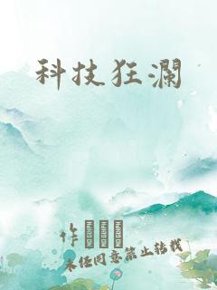 科技狂澜