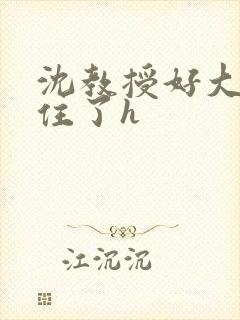 沈教授好大含不住了h