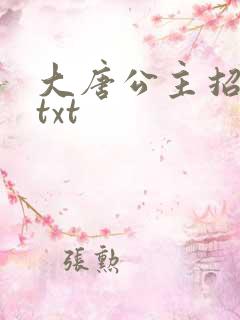 大唐公主招亲记txt
