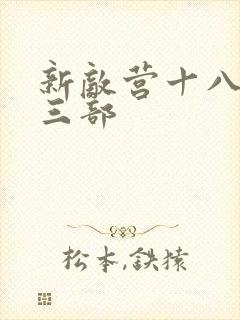 新敌营十八年第三部