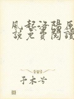 风起洛阳原著小说免费阅读