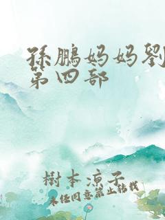 孙鹏妈妈刘淑英第四部