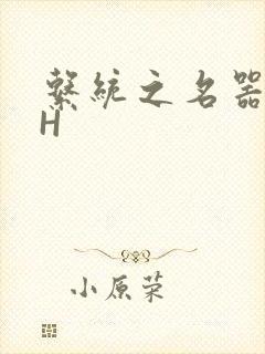 系统之名器勾男H