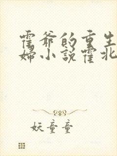 霍爷的重生小媳妇小说霍北江