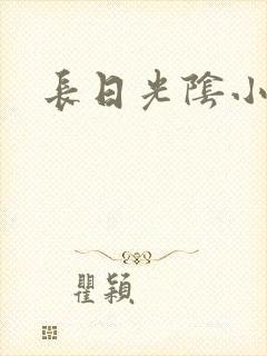 长日光阴小说