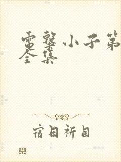 电击小子第二部全集