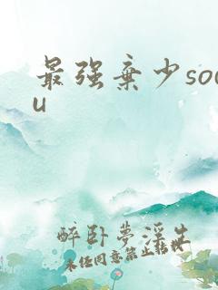 最强弃少sodu