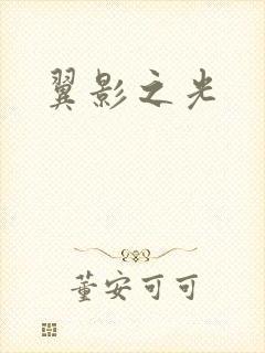 翼影之光