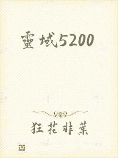 灵域5200