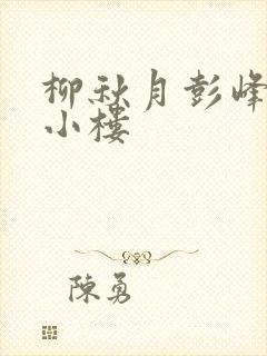 柳秋月彭峰月满小楼