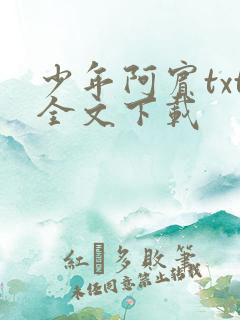 少年阿宾txt全文下载