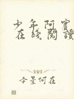 少 年 阿 宾 在 线 阅 读