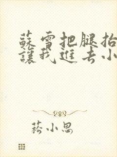 苏雪把腿抬起来让我进去小说