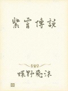 紫霄传说