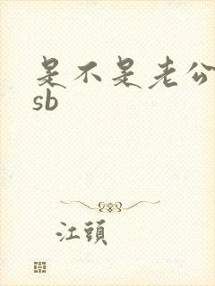 是不是老公的小sb