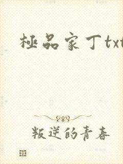 极品家丁txt
