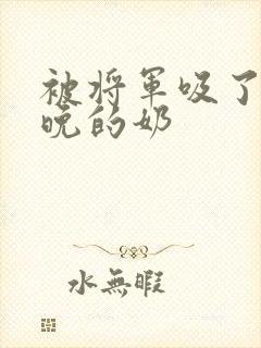 被将军吸了一整晚的奶