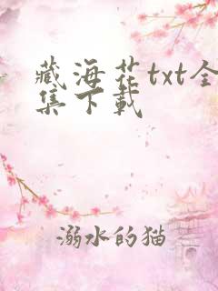 藏海花txt全集下载