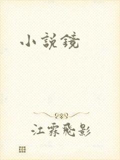 小说镜