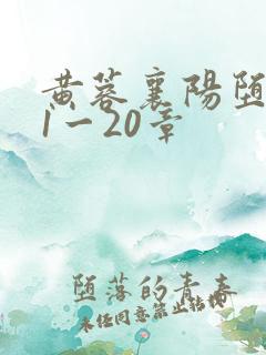 黄蓉襄阳堕落史1一20章