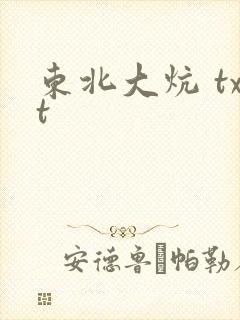 东北大炕 txt