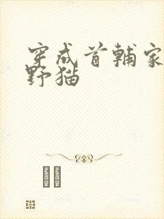 穿成首辅家的小野猫