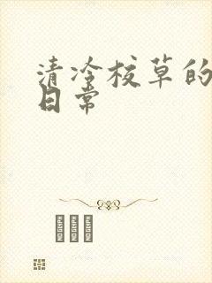 清冷校草的抹布日常
