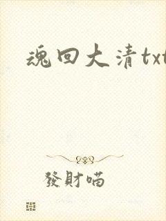 魂回大清txt