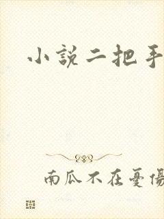 小说二把手