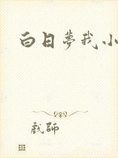 白日梦我小说