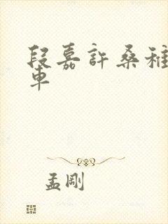 段嘉许桑稚浴室车