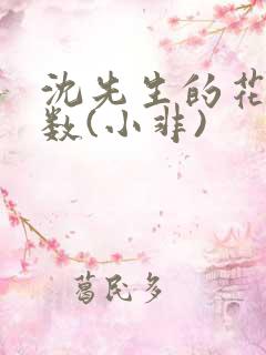 沈先生的花式调数(小非)